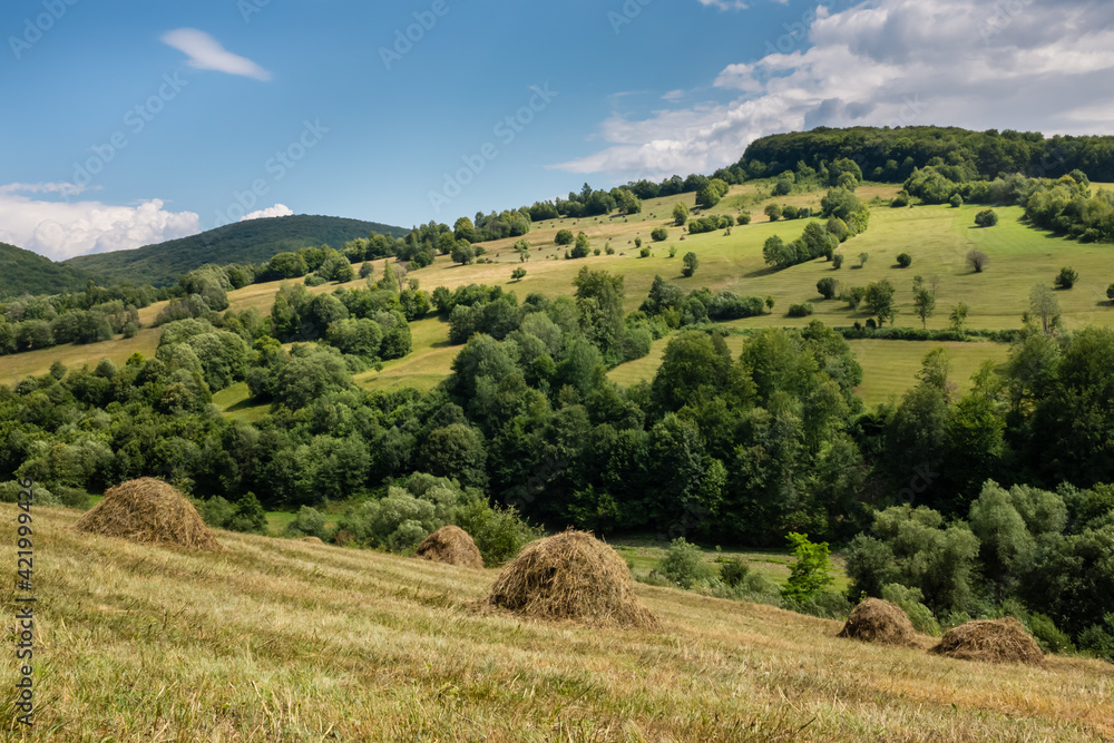 Traditional life and agriculture in Transylvania, Romania