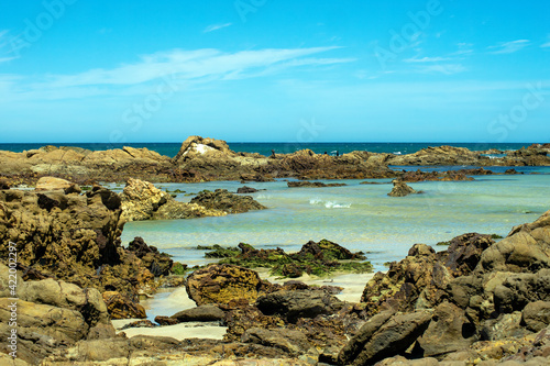 Cormorants on the outer rocks off beach, Tomakin, NSW, Australia photo