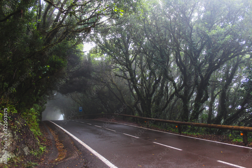 Scenic road in the Macizo de Anaga biosphere reserve, Tenerife, Spain. Scenic road in the Macizo de Anaga biosphere reserve, Tenerife, Spain.
