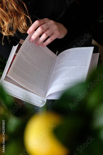 Woman reading a book, girl holds white book while reading at home. Reading mock up , close up details. 