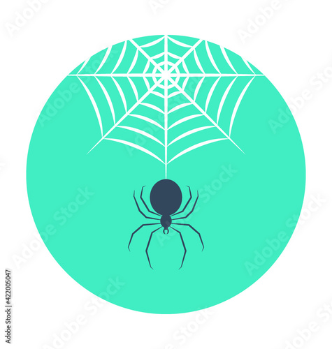 Spider Web Colored Vector Icon