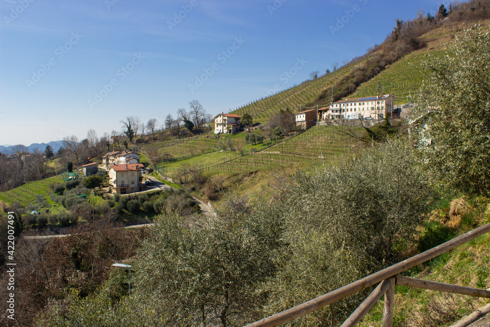 Naklejka premium View of the Prosecco hills. A wooden handrail, olive trees, hills with vineyard terraces, typical Italian houses. Sunny spring day. Arfanta, Treviso, Italy.