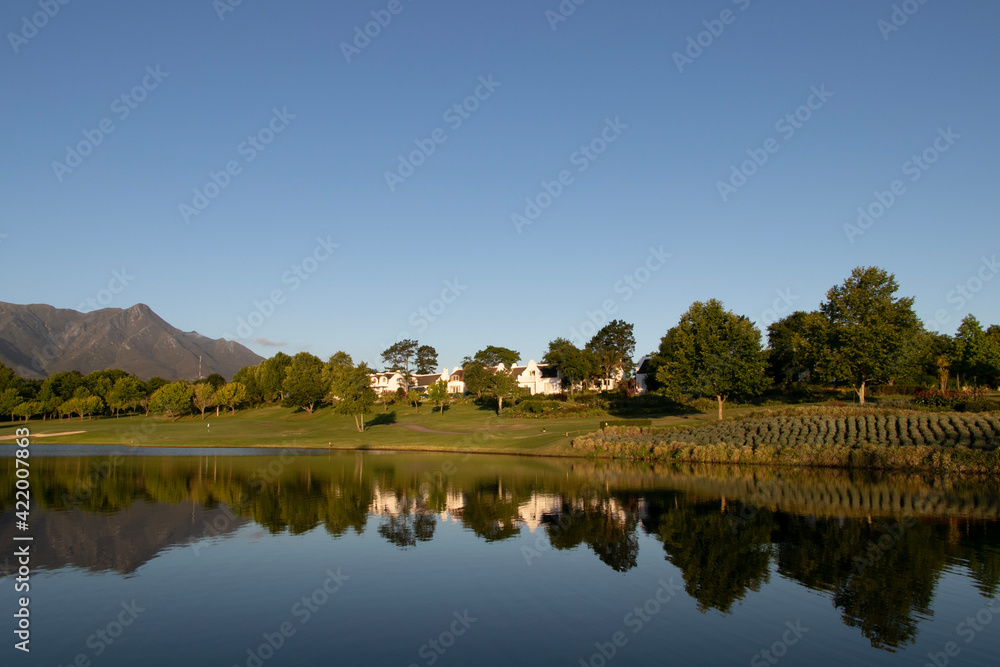 Fototapeta premium reflection of trees in the lake