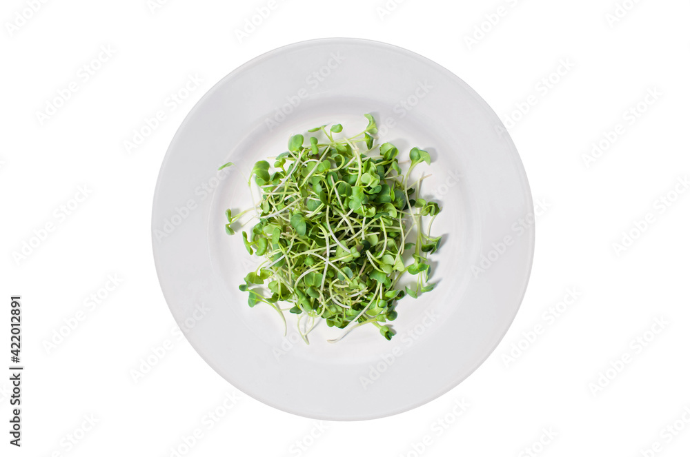 Lots of radish microgreens on a white plate. Isolated on white background. View from above Lots of radish microgreens on a white plate. Isolated on white background. View from above