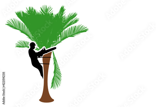 élagueur logo palmiers