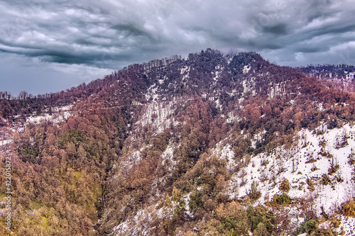 Mtirala National Park in winter with drone, Adjara, Georgia © Dmitrii