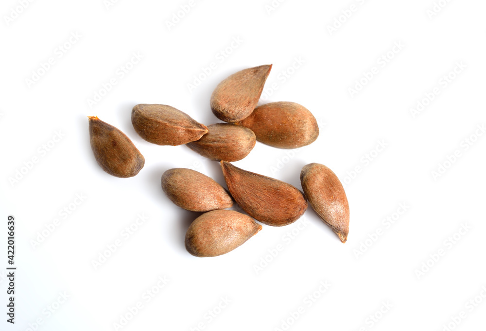Apple seeds or stones. Isolated on white background Apple seeds or stones. Isolated on white background