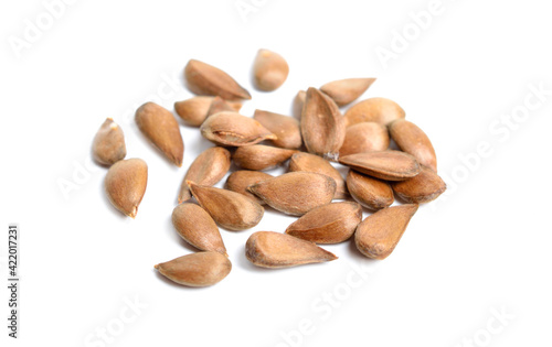 Apple seeds or stones. Isolated on white background