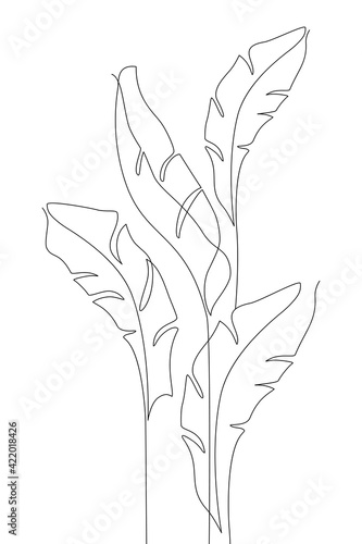 Abstract one line art of banana leaves. Tropical leaves composition isolated on white background.