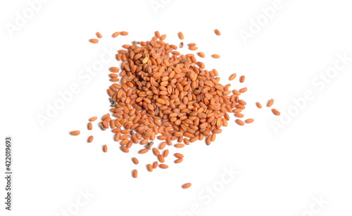 Canvastavla Camelina sativa seeds. Isolated on white background