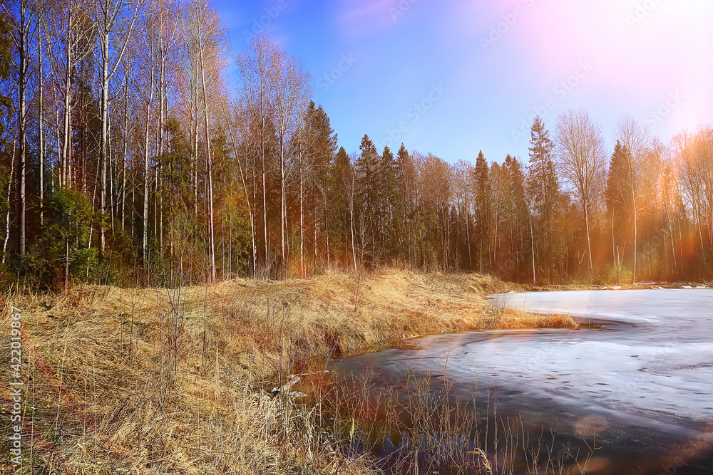 abstract seasonal landscape early spring in forest, sun rays and glare nature view