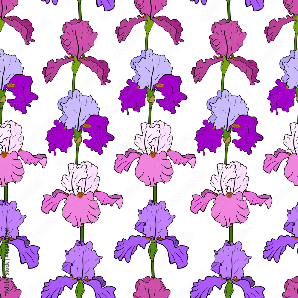 Seamless pattern Irises flowers botanical colourful vector illustration	
