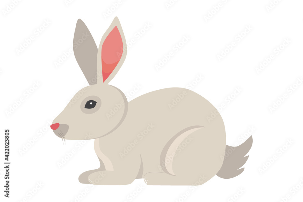 Cute gray rabbit isolated on white background. Flat style design vector illustration