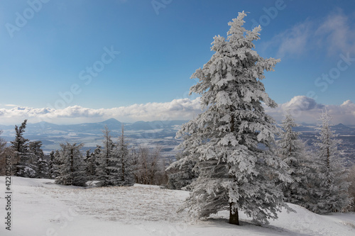 Winter landscape © Shumperk