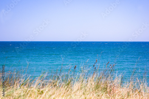 A view of a blue sea trough a grass during a sunny day 