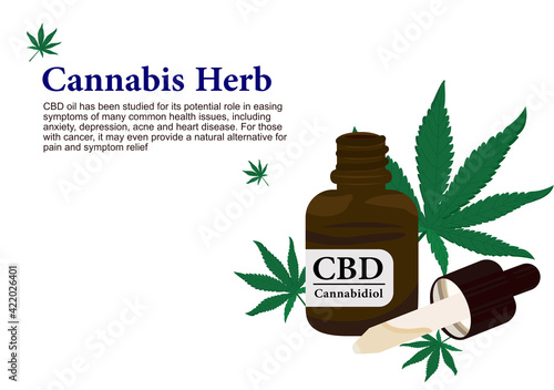 Cannabis herb for pure CBD oil extraction in medical treatment vector ep01