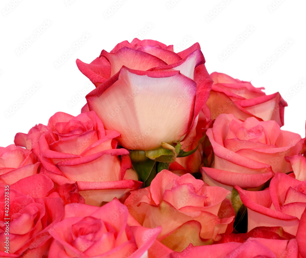 Red Rose Flower Wedding bouquet isolated Red Rose Flower Wedding bouquet isolated