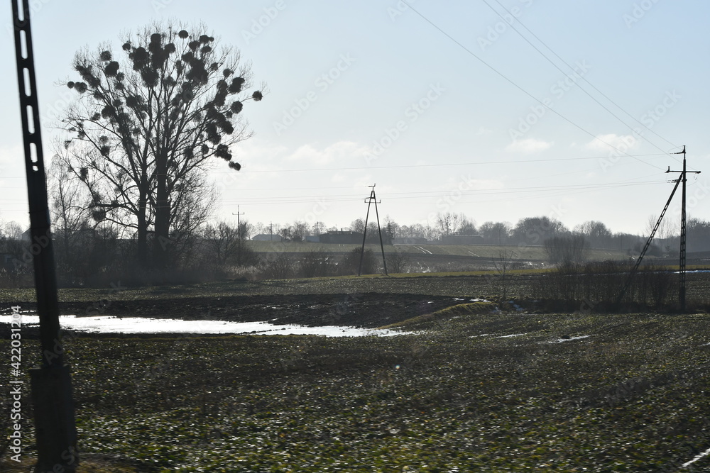 Obraz premium elektyczność