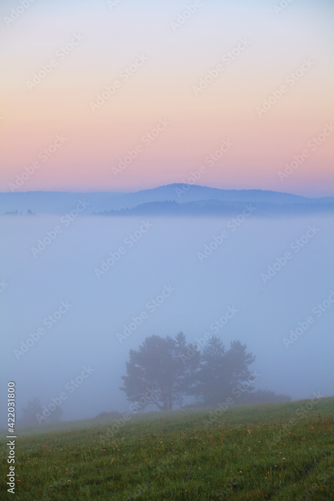 misty morning on the Bieszczady mountains

