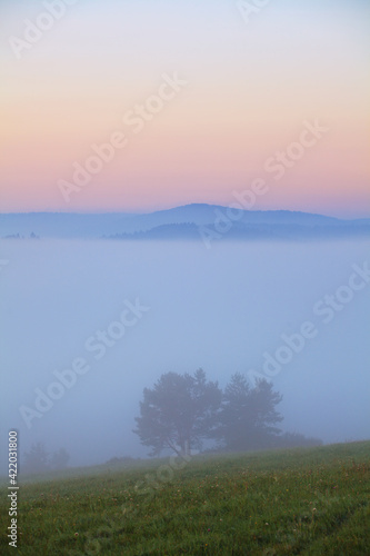 misty morning on the Bieszczady mountains 