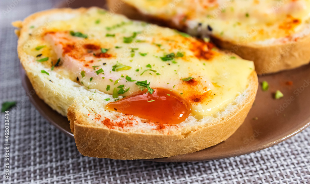 Two delicious sandwiches with melted cheese and herbs on a saucer. A quick snack. Two delicious sandwiches with melted cheese and herbs on a saucer. A quick snack.