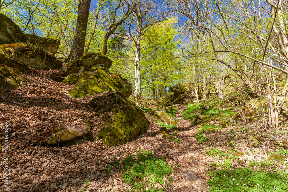 Felsenlabyrinth unterhalb der Ruine der Nordburg Lichtenstein in Lichtenstein, Naturpark Haßberge, Landkreis Hassberge, Unterfranken, Franken, Bayern, Deutschland Felsenlabyrinth unterhalb der Ruine der Nordburg Lichtenstein in Lichtenstein, Naturpark Haßberge, Landkreis Hassberge, Unterfranken, Franken, Bayern, Deutschland