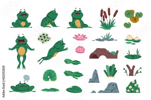 Frog. Cartoon amphibian with pond and river plants. Growth steps of life cycle. Isolated wild animals sitting or jumping. Lotus flowers and water lily leaves. Vector croaking toads set