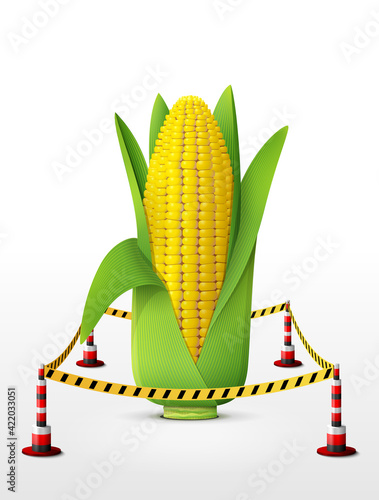 Ear of corn located in restricted area. Maize cob with leaves surrounded barrier tape. Vector illustration for agriculture, vegetables, cooking, health food, gastronomy, olericulture, etc