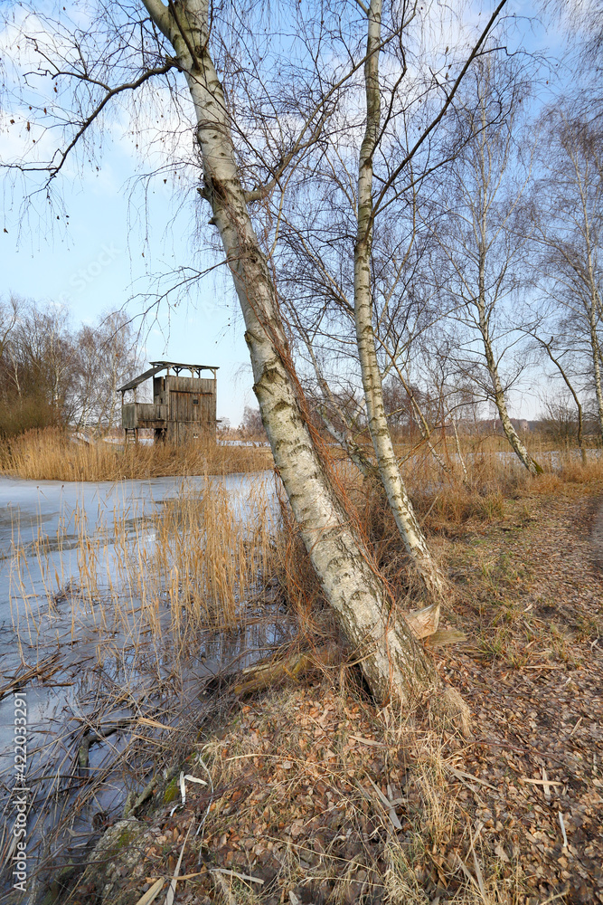 WROCLAW, POLAND - FEBRUARY 22, 2021: The Milicz Ponds (Polish: Stawy Milickie). Nature Reserve in Barycz Valley Landscape Park. Lower Silesian Voivodeship, Poland, Europe. - obrazy, fototapety, plakaty 
