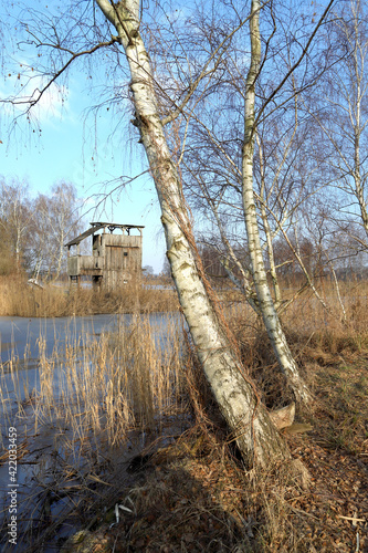 WROCLAW, POLAND - FEBRUARY 22, 2021: Frozen lake landscape. The Milicz Ponds (Polish: Stawy Milickie). Nature Reserve in Barycz Valley Landscape Park. Lower Silesian Voivodeship, Poland, Europe. photo