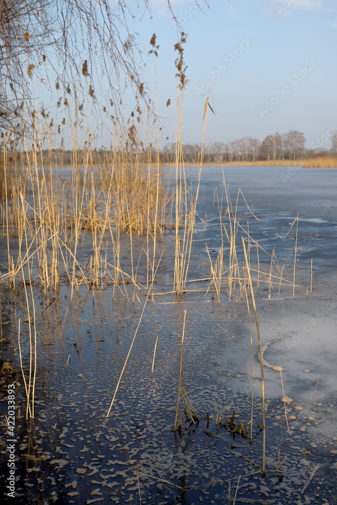 WROCLAW, POLAND - FEBRUARY 22, 2021: Frozen lake landscape. The Milicz Ponds (Polish: Stawy Milickie). Nature Reserve in Barycz Valley Landscape Park. Lower Silesian Voivodeship, Poland, Europe. - obrazy, fototapety, plakaty 