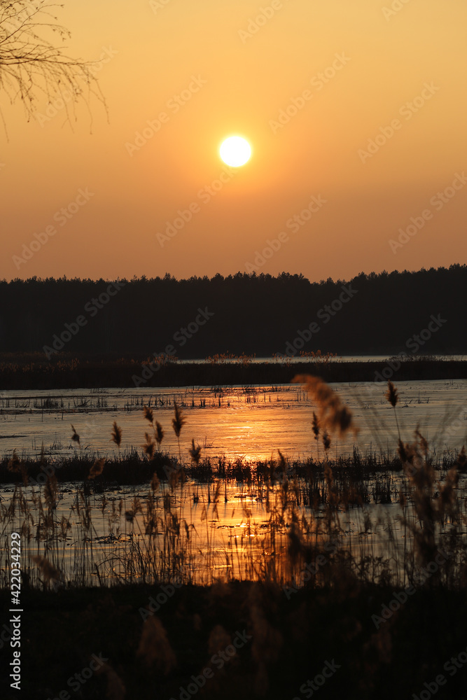 WROCLAW, POLAND - FEBRUARY 22, 2021: Beautiful sunset over a frozen lake. The Milicz Ponds (Polish: Stawy Milickie). Nature Reserve in Barycz Valley Landscape Park, Poland, Europe. - obrazy, fototapety, plakaty 