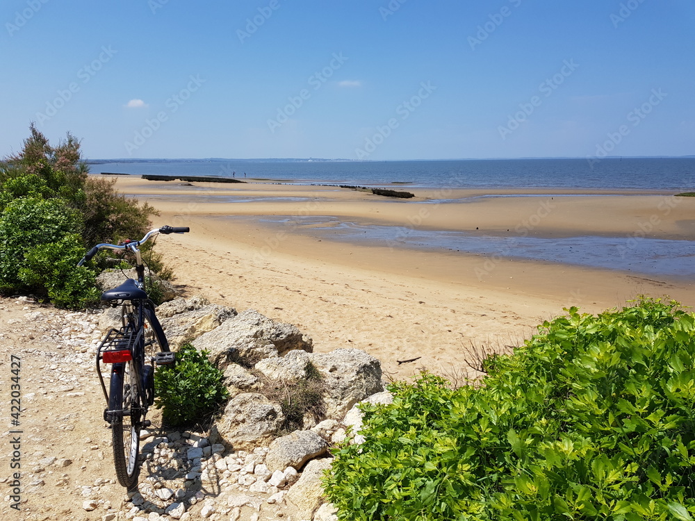 Fototapeta premium Paysages du Bassin d'Arcachon