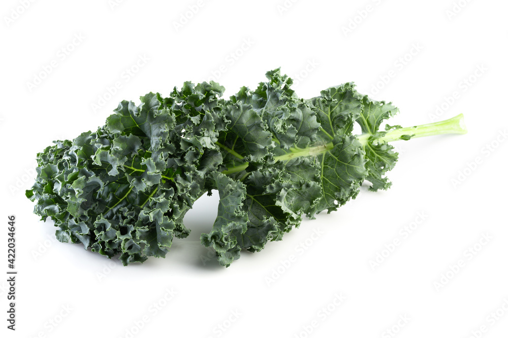 Fresh green leaves of Kale. Green vegetable leaves isolated on a white background. Fresh green leaves of Kale. Green vegetable leaves isolated on a white background.