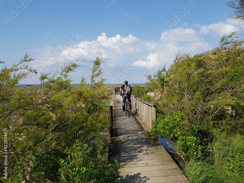 Paysages du Bassin d'Arcachon