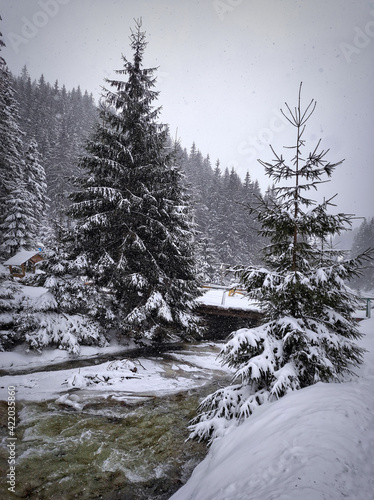 Slowly falling snow on the background of a winter snowy landscape. Beautiful white winter fairy tale in the mountains with a spruce forest and a mountain river