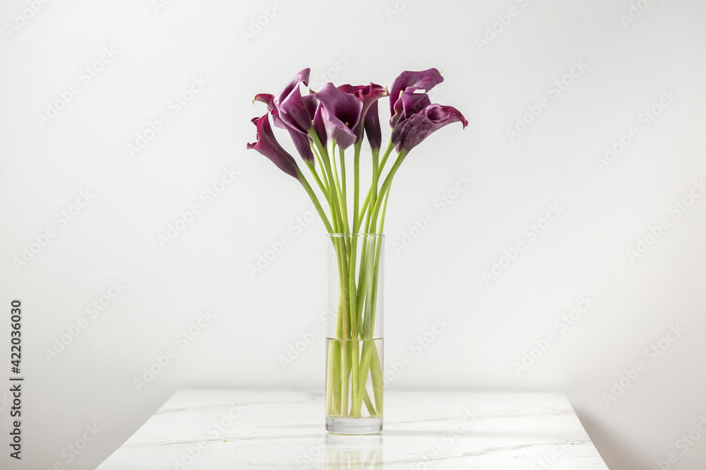 A glass vase with bouquet of fresh purple calla flowers