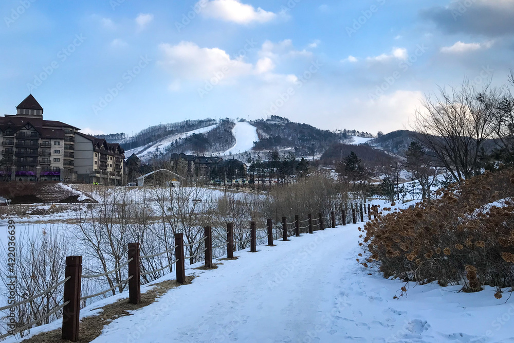 Scenic view of Alpensia Ski Resort, Pyeongchang, South Korea.