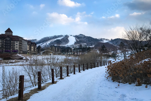 Scenic view of Alpensia Ski Resort, Pyeongchang, South Korea. © A. Emson