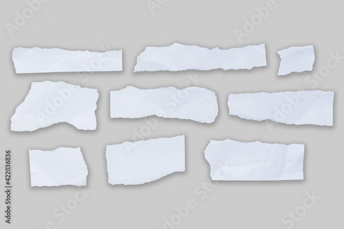 Wallpaper Mural White ripped note,Torn paper edges for background. Ripped paper texture on transparent background. isolated on white background with clipping path. Torontodigital.ca