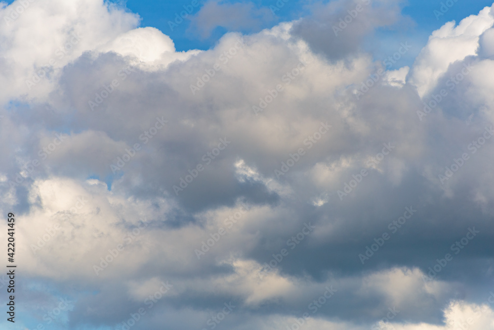 Obraz premium The wind drives the rain clouds. Sky and clouds patterns background.