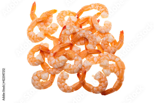 boiled shrimp isolated