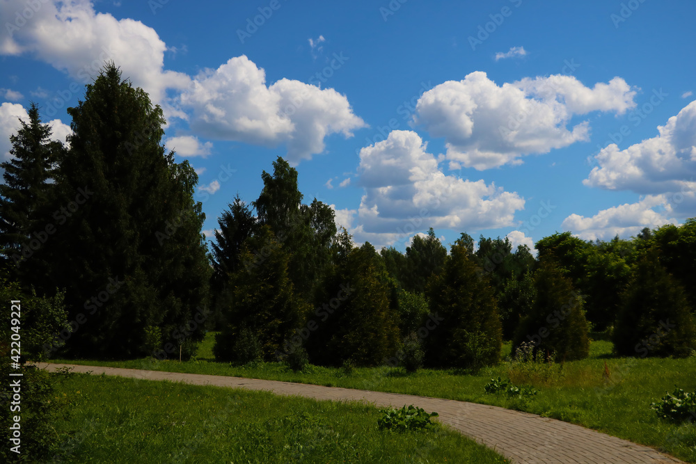 Obraz premium View of the hiking trail in the green park.
