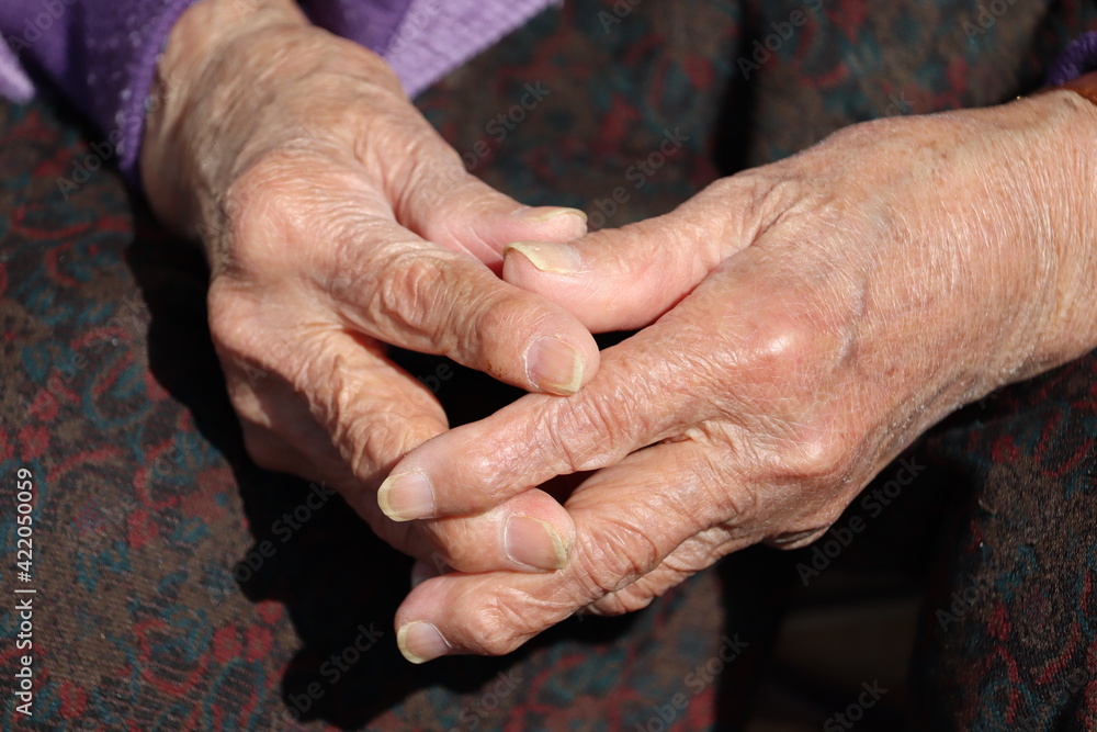 Fototapeta premium 高齢者の手