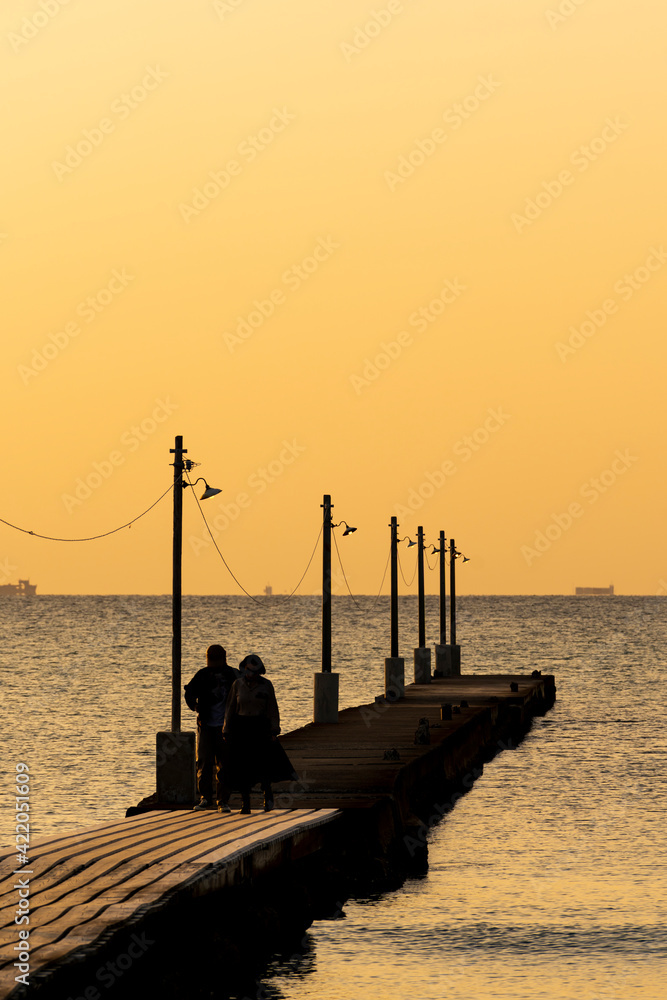 Naklejka premium 【千葉県】南房総 夕焼けの原岡桟橋