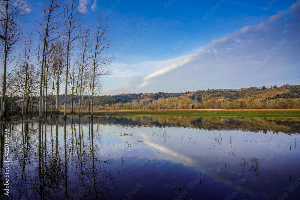 Fototapeta premium Paysage campagne 842