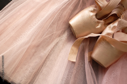 Pointe shoes on a tutu. Ballet shoes.