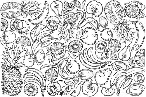 Fototapeta Naklejka Na Ścianę i Meble -  Doodle fruits icons. Set of doodle fruits. Hand drawing