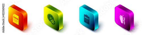Set Isometric GMO, Genetically modified orange, and apple icon. Vector