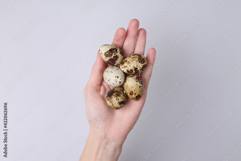 Hand holding Quail eggs on gray background. Care, Easter concept. Top view Hand holding Quail eggs on gray background. Care, Easter concept. Top view